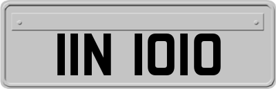 IIN1010