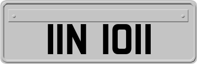 IIN1011