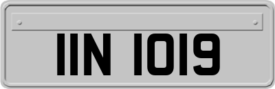 IIN1019
