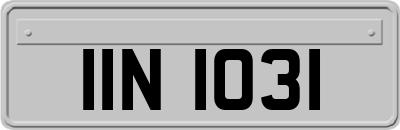 IIN1031