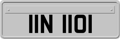 IIN1101