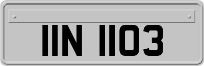 IIN1103