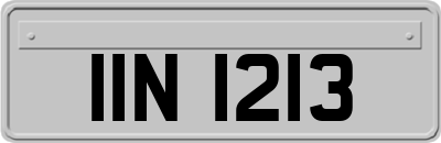 IIN1213