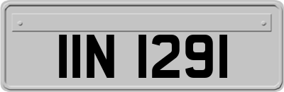 IIN1291