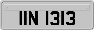 IIN1313