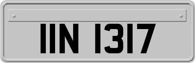 IIN1317