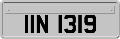 IIN1319