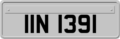 IIN1391