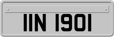 IIN1901
