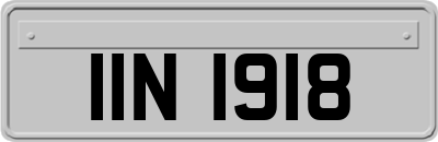 IIN1918