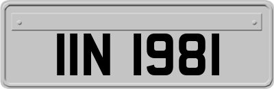 IIN1981
