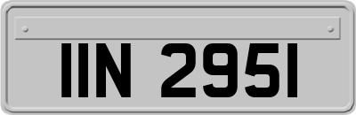 IIN2951
