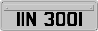 IIN3001