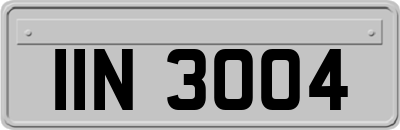 IIN3004