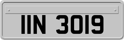 IIN3019