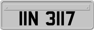 IIN3117