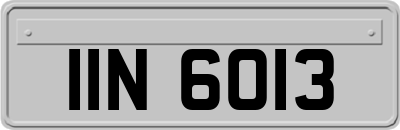 IIN6013