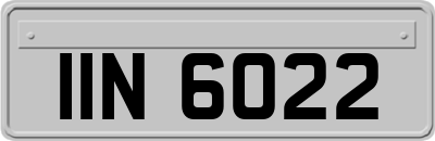 IIN6022