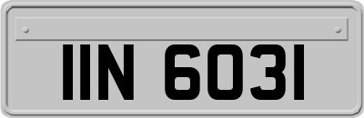 IIN6031