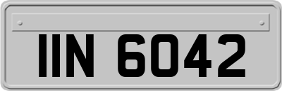 IIN6042