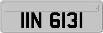 IIN6131