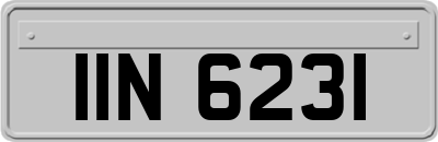 IIN6231