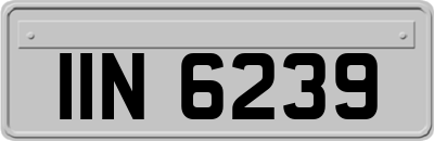 IIN6239