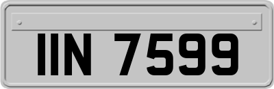 IIN7599