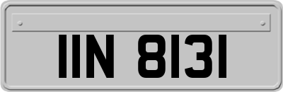 IIN8131