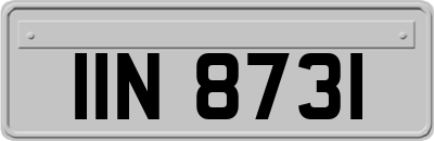 IIN8731
