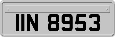 IIN8953