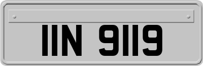 IIN9119