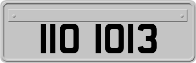 IIO1013