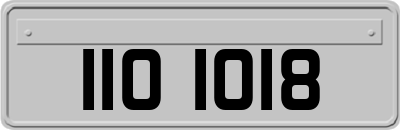IIO1018
