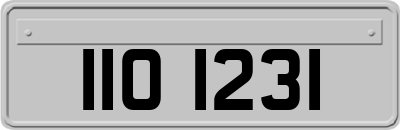 IIO1231