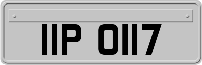 IIP0117