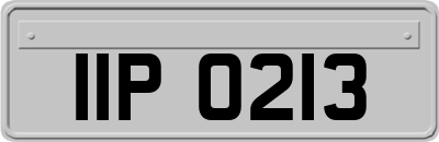 IIP0213