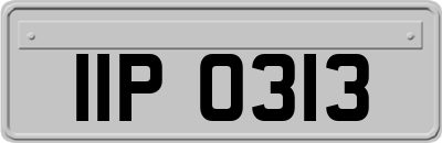 IIP0313
