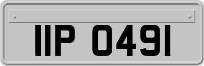 IIP0491