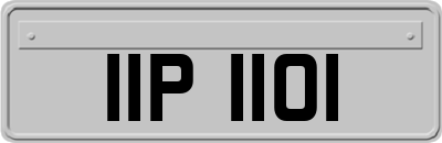 IIP1101