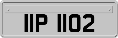 IIP1102