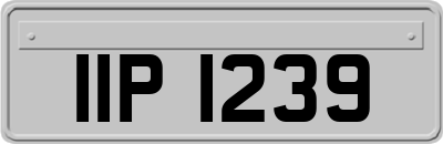 IIP1239