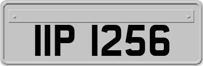 IIP1256