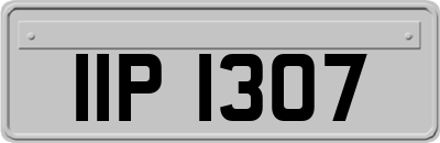 IIP1307