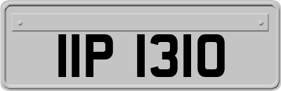 IIP1310