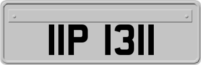 IIP1311