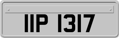 IIP1317