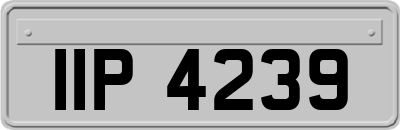 IIP4239