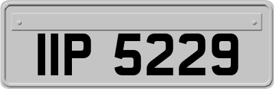 IIP5229