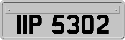 IIP5302